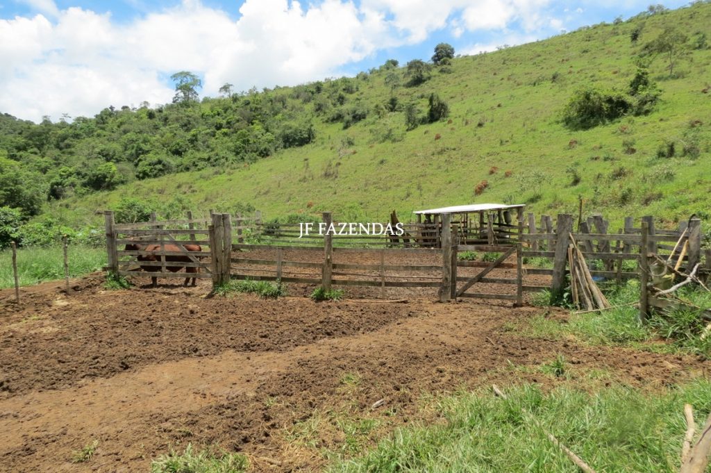 Fazenda em Bicas / MG – 86 hectares Fazenda em Bicas / MG – 86 hectares