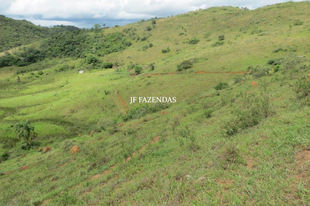Fazenda em Bicas / MG – 86 hectares Fazenda em Bicas / MG – 86 hectares