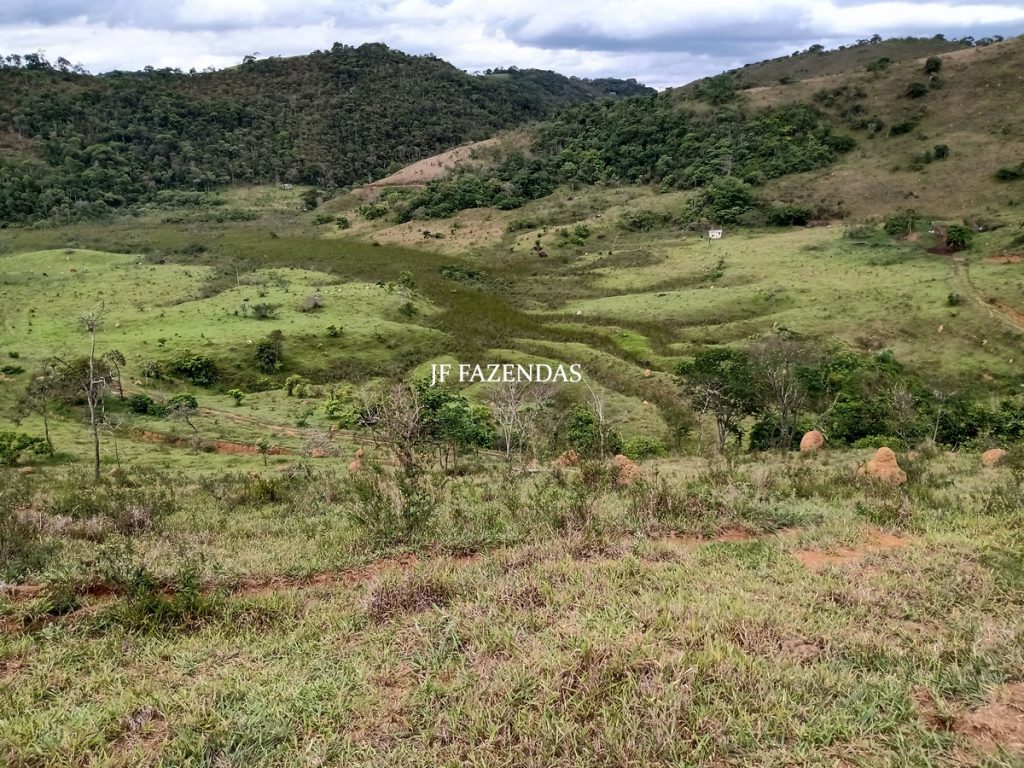 Fazenda em Bicas / MG – 86 hectares Fazenda em Bicas / MG – 86 hectares