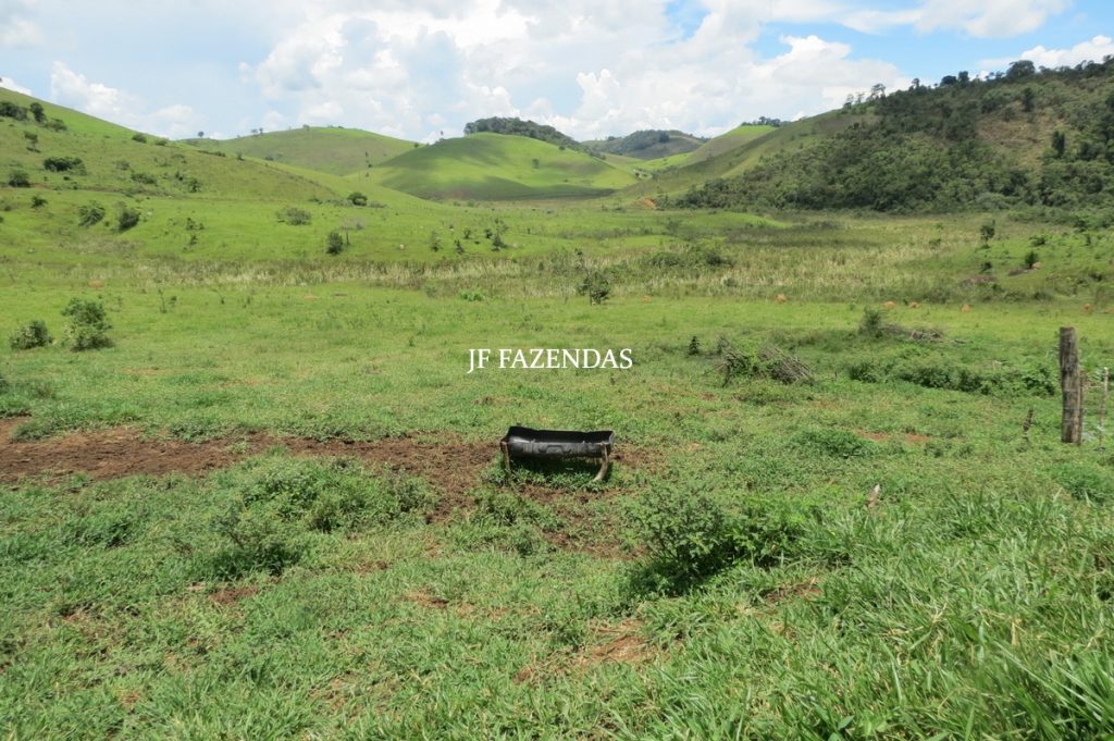 Fazenda em Bicas / MG – 86 hectares Fazenda em Bicas / MG – 86 hectares