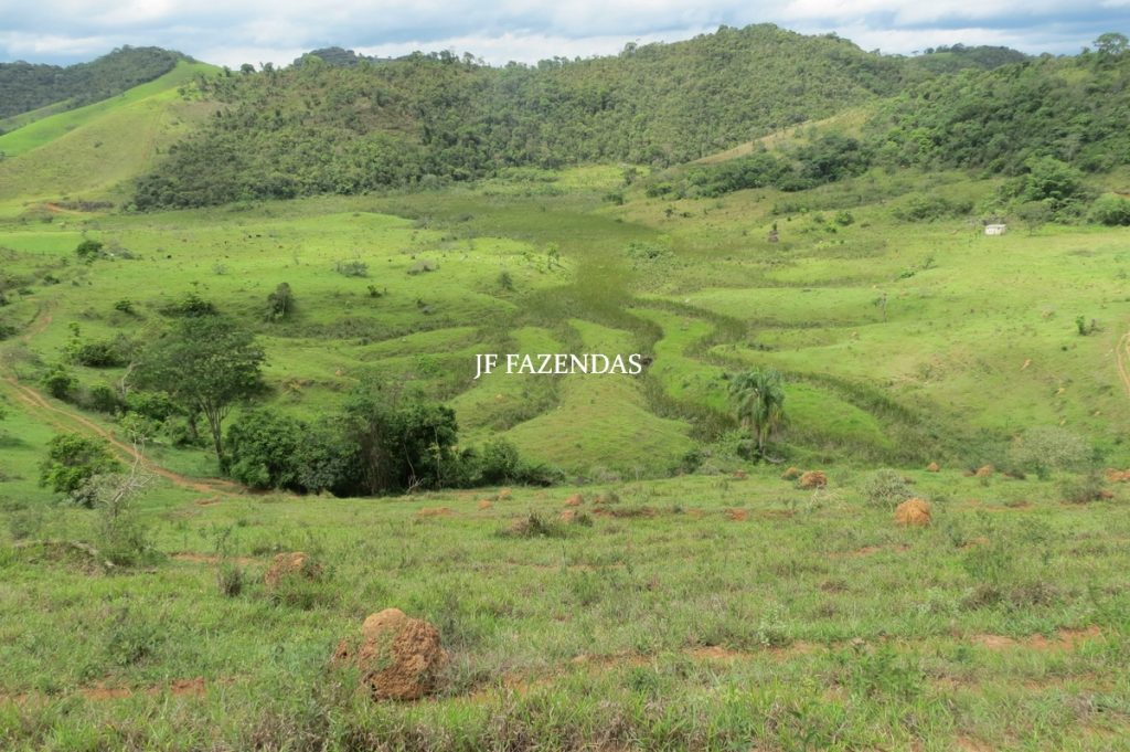 Fazenda em Bicas / MG – 86 hectares Fazenda em Bicas / MG – 86 hectares