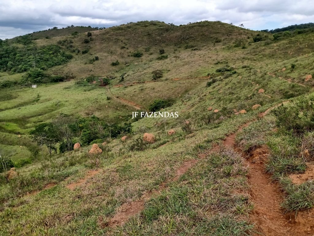 Fazenda em Bicas / MG – 86 hectares Fazenda em Bicas / MG – 86 hectares