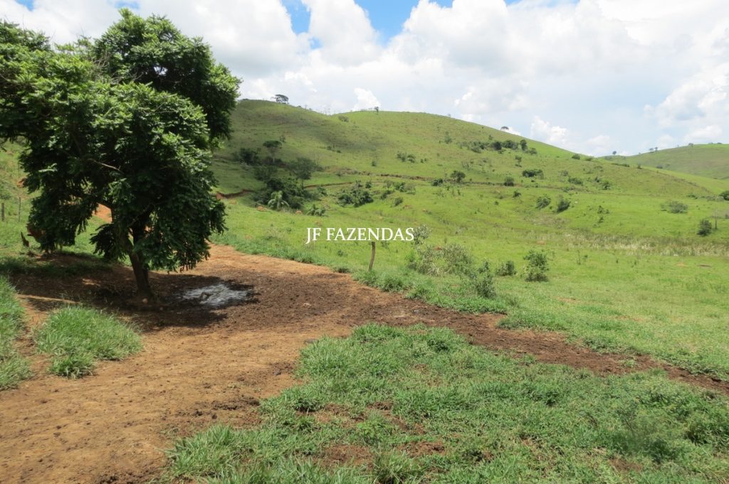 Fazenda em Bicas / MG – 86 hectares Fazenda em Bicas / MG – 86 hectares