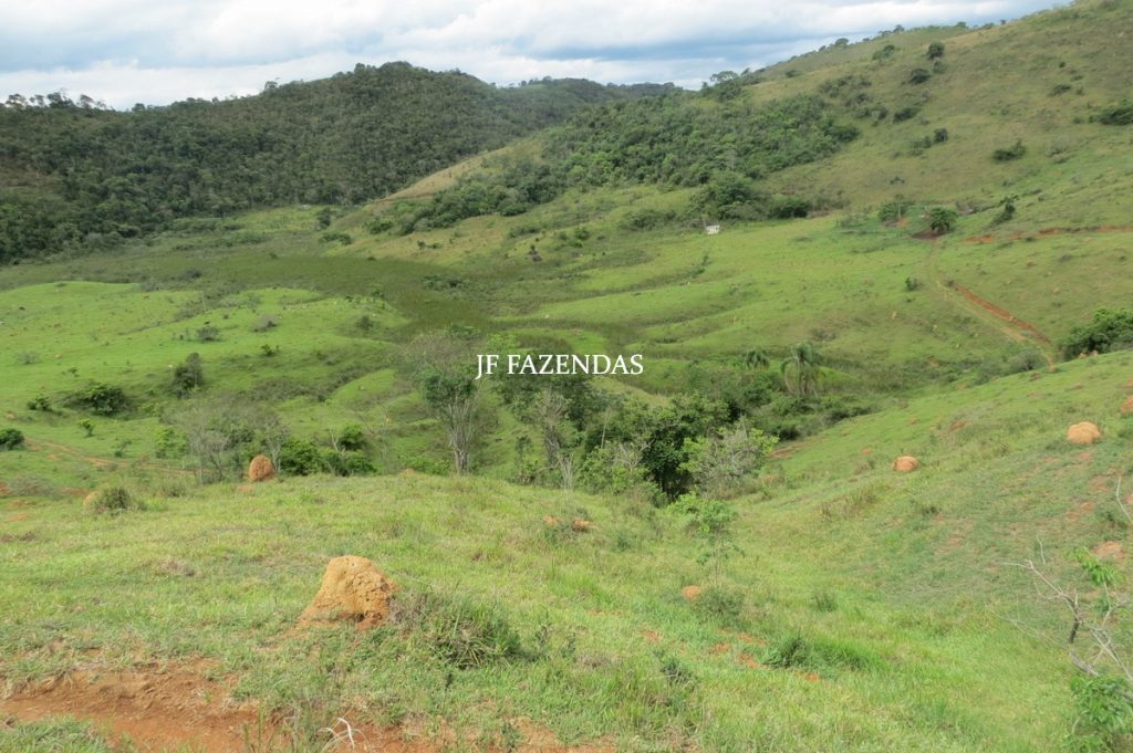 Fazenda em Bicas / MG – 86 hectares Fazenda em Bicas / MG – 86 hectares