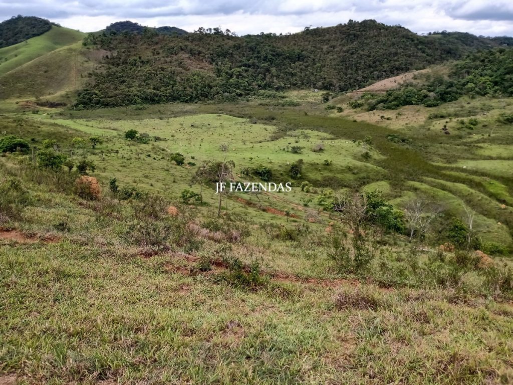 Fazenda em Bicas / MG – 86 hectares Fazenda em Bicas / MG – 86 hectares