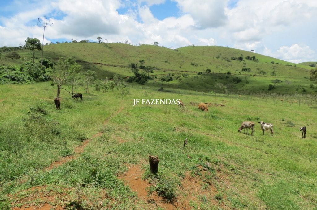 Fazenda em Bicas / MG – 86 hectares Fazenda em Bicas / MG – 86 hectares