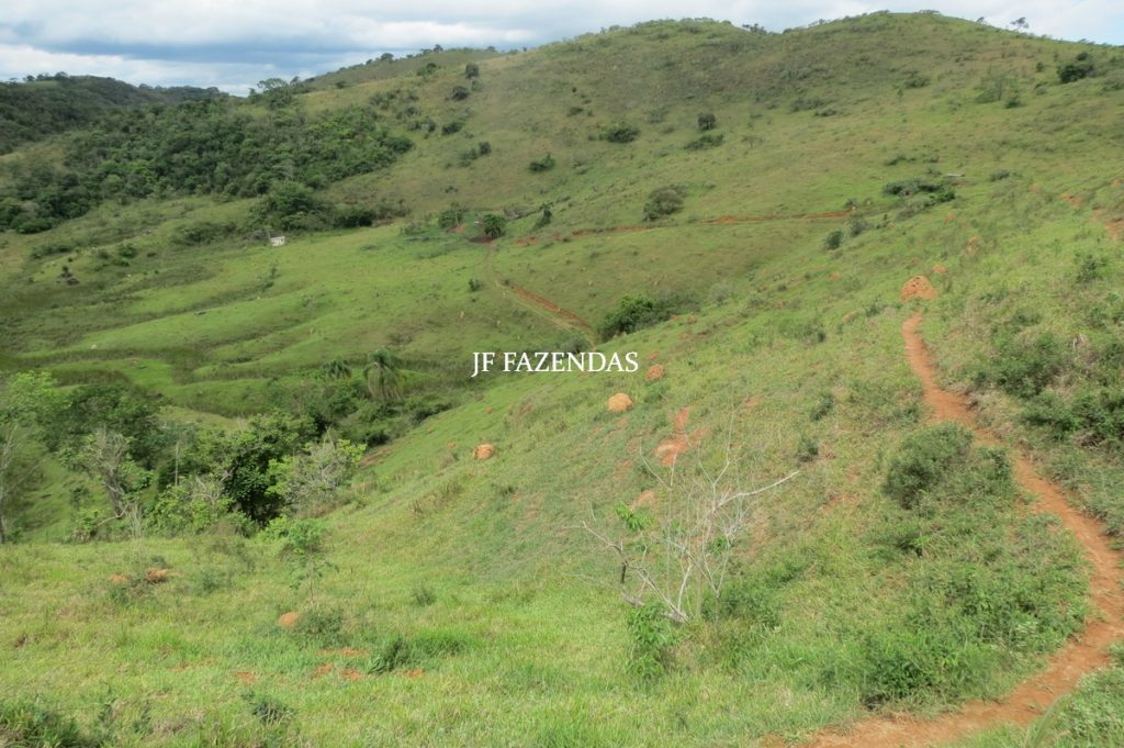 Fazenda em Bicas / MG – 86 hectares Fazenda em Bicas / MG – 86 hectares