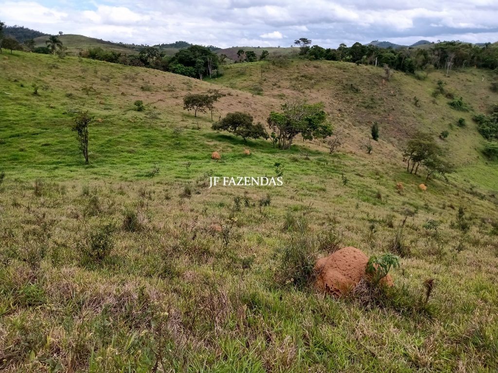 Fazenda em Bicas / MG – 86 hectares Fazenda em Bicas / MG – 86 hectares