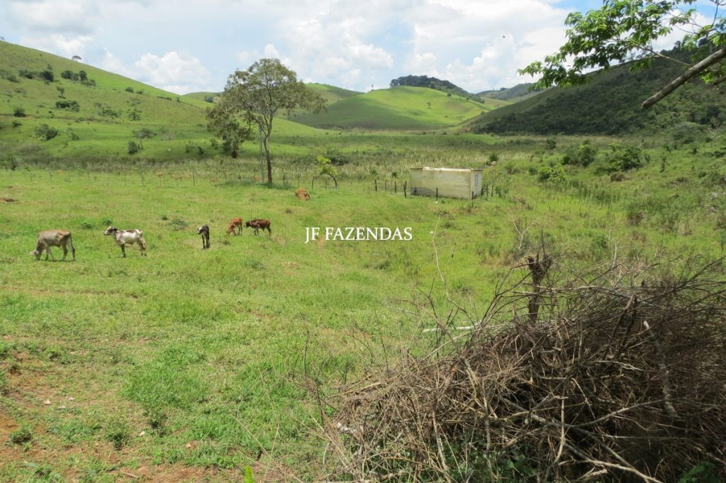 Fazenda em Bicas / MG – 86 hectares Fazenda em Bicas / MG – 86 hectares