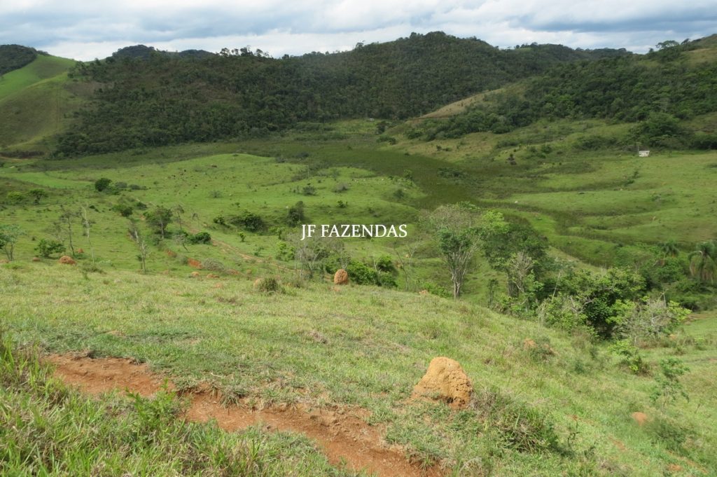 Fazenda em Bicas / MG – 86 hectares Fazenda em Bicas / MG – 86 hectares