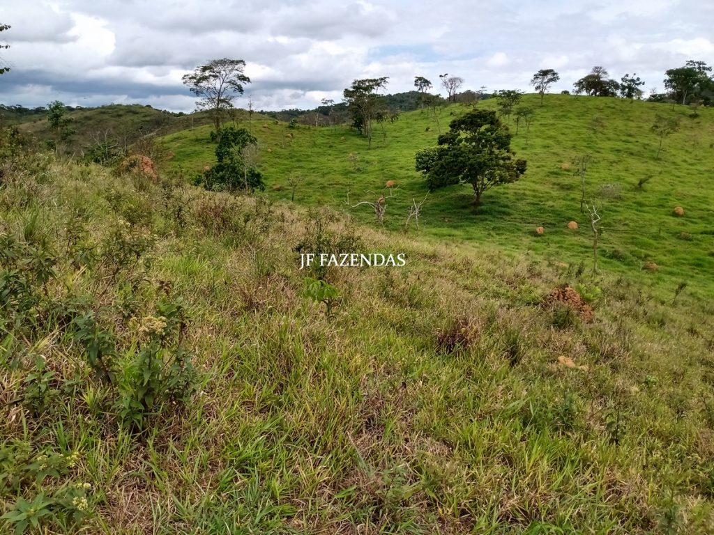 Fazenda em Bicas / MG – 86 hectares Fazenda em Bicas / MG – 86 hectares