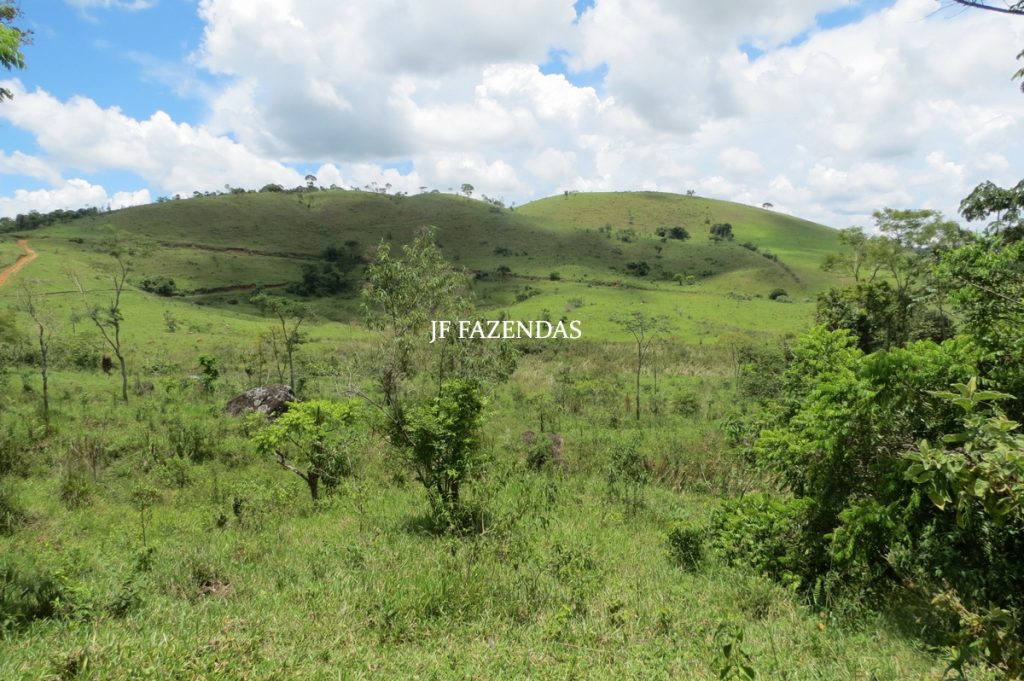 Fazenda em Bicas / MG – 86 hectares Fazenda em Bicas / MG – 86 hectares