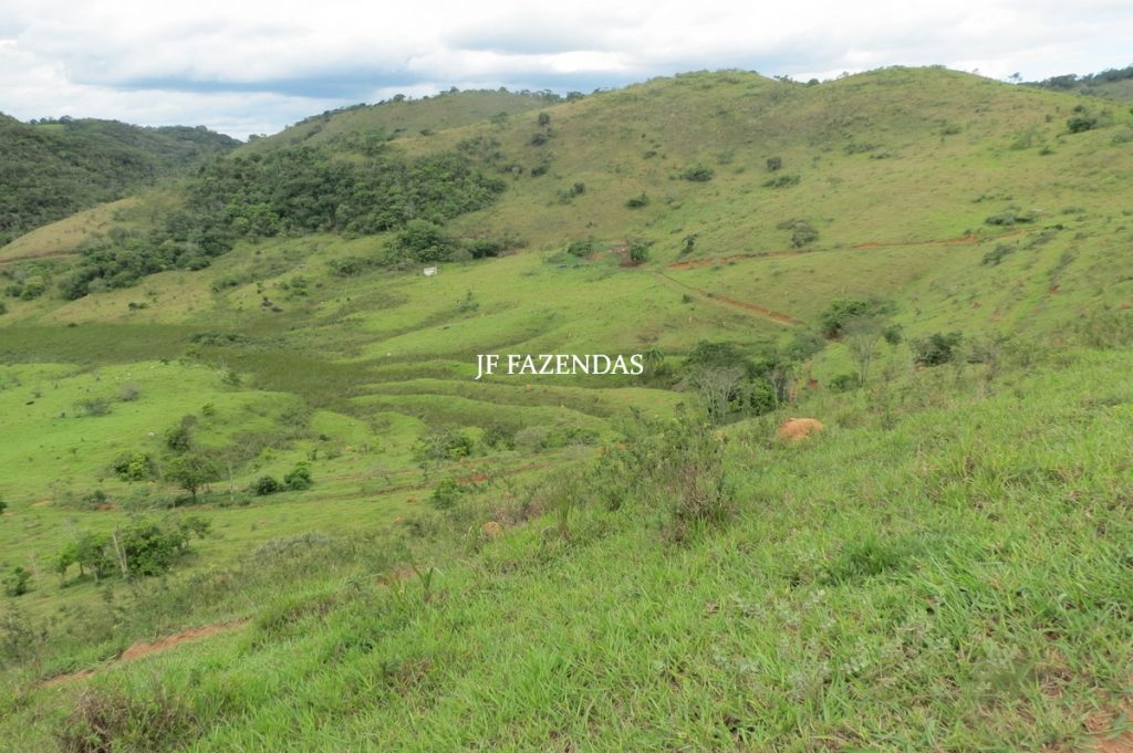 Fazenda em Bicas / MG – 86 hectares Fazenda em Bicas / MG – 86 hectares