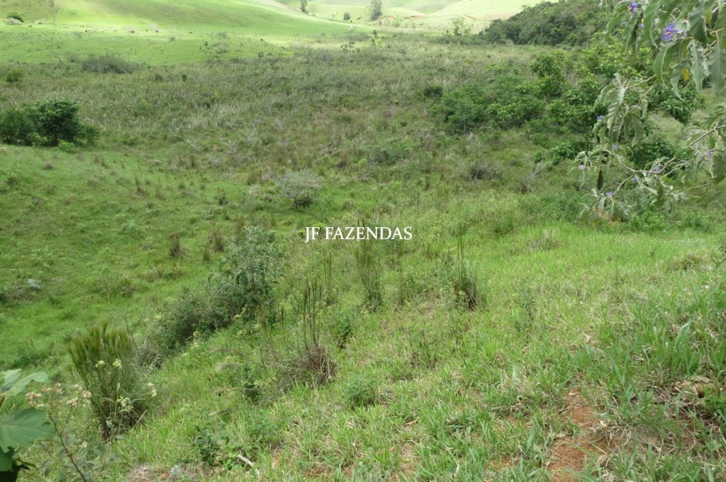 Fazenda em Bicas / MG – 86 hectares Fazenda em Bicas / MG – 86 hectares