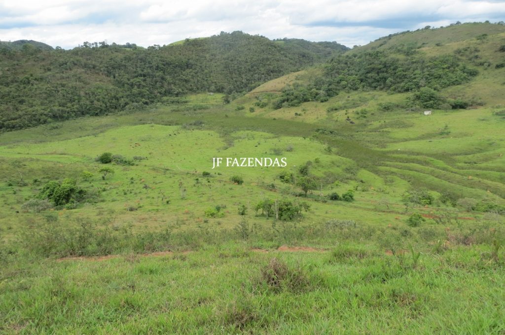 Fazenda em Bicas / MG – 86 hectares Fazenda em Bicas / MG – 86 hectares
