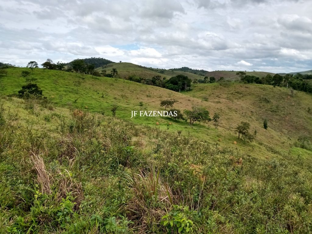 Fazenda em Bicas / MG – 86 hectares Fazenda em Bicas / MG – 86 hectares