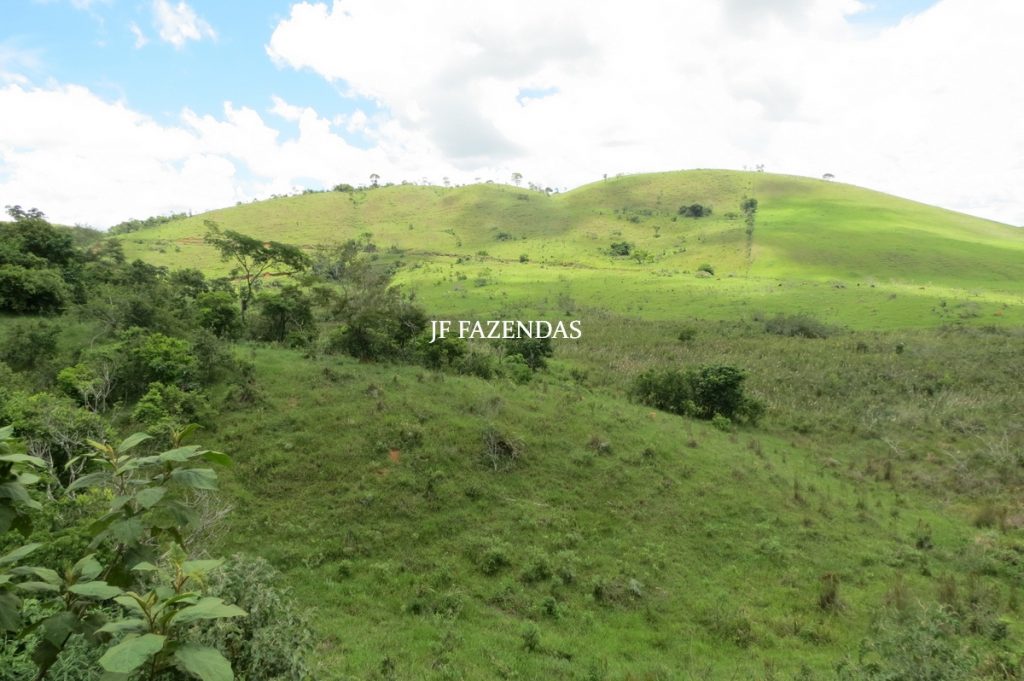 Fazenda em Bicas / MG – 86 hectares Fazenda em Bicas / MG – 86 hectares