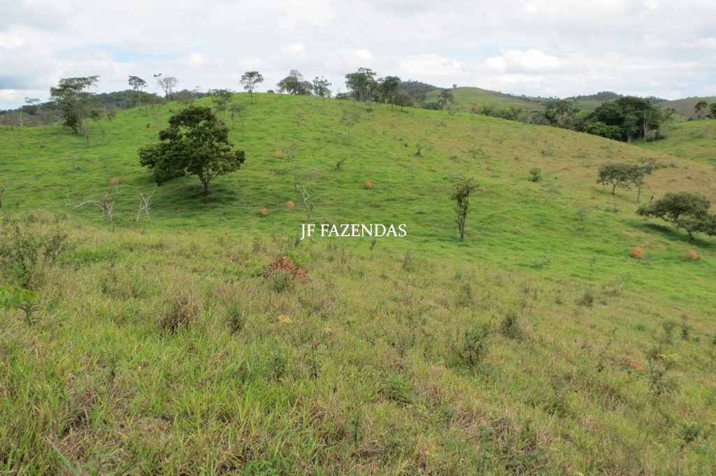 Fazenda em Bicas / MG – 86 hectares Fazenda em Bicas / MG – 86 hectares