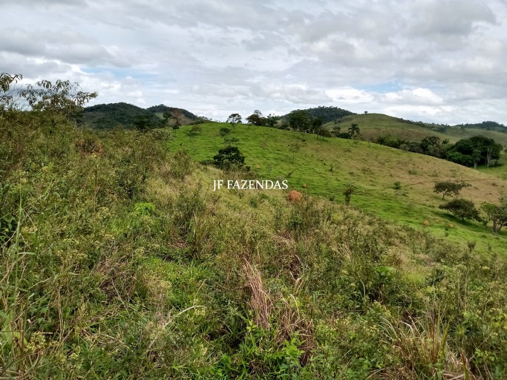 Fazenda em Bicas / MG – 86 hectares Fazenda em Bicas / MG – 86 hectares