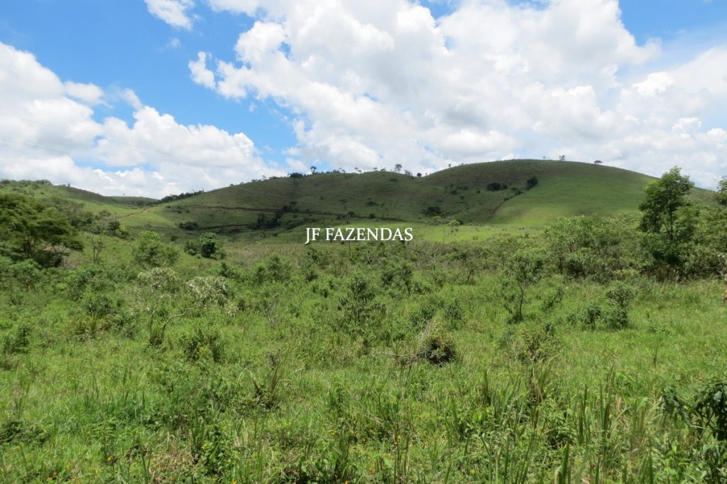 Fazenda em Bicas / MG – 86 hectares Fazenda em Bicas / MG – 86 hectares