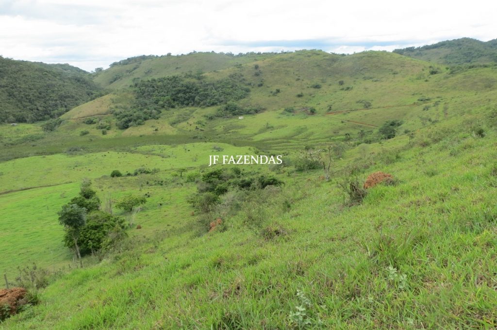 Fazenda em Bicas / MG – 86 hectares Fazenda em Bicas / MG – 86 hectares