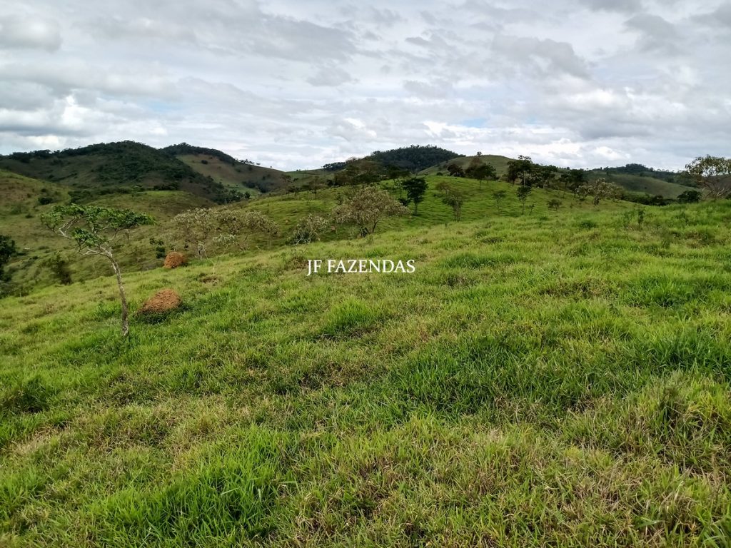Fazenda em Bicas / MG – 86 hectares Fazenda em Bicas / MG – 86 hectares