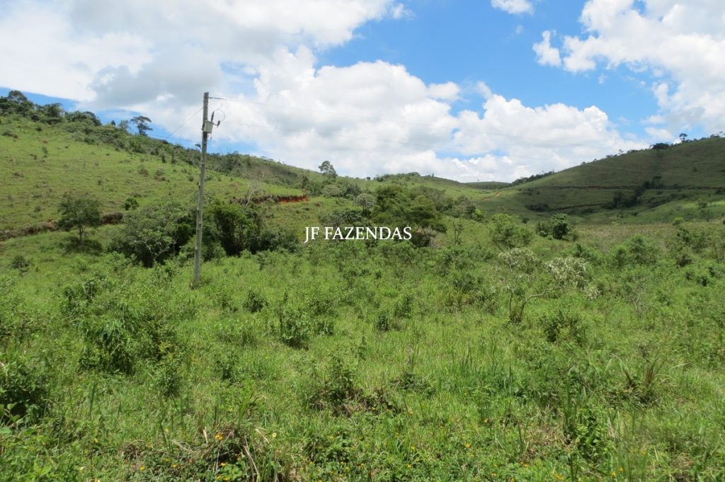Fazenda em Bicas / MG – 86 hectares Fazenda em Bicas / MG – 86 hectares