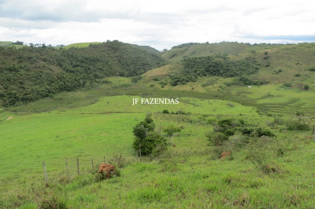 Fazenda em Bicas / MG – 86 hectares Fazenda em Bicas / MG – 86 hectares
