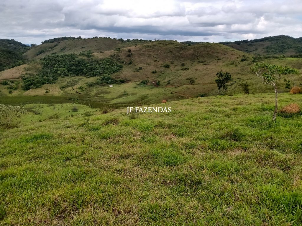 Fazenda em Bicas / MG – 86 hectares Fazenda em Bicas / MG – 86 hectares