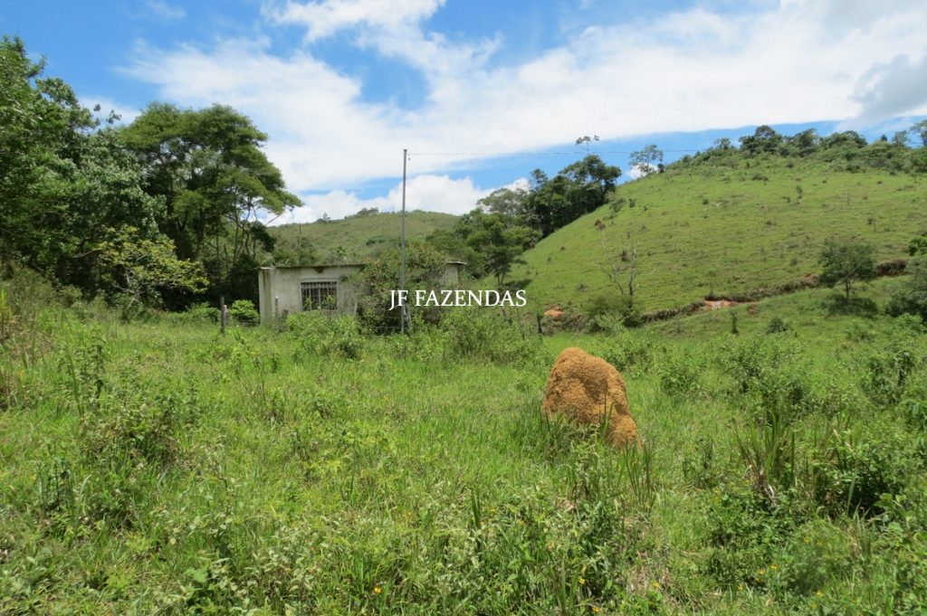 Fazenda em Bicas / MG – 86 hectares Fazenda em Bicas / MG – 86 hectares