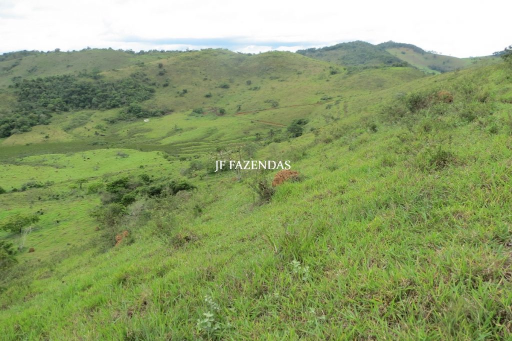 Fazenda em Bicas / MG – 86 hectares Fazenda em Bicas / MG – 86 hectares