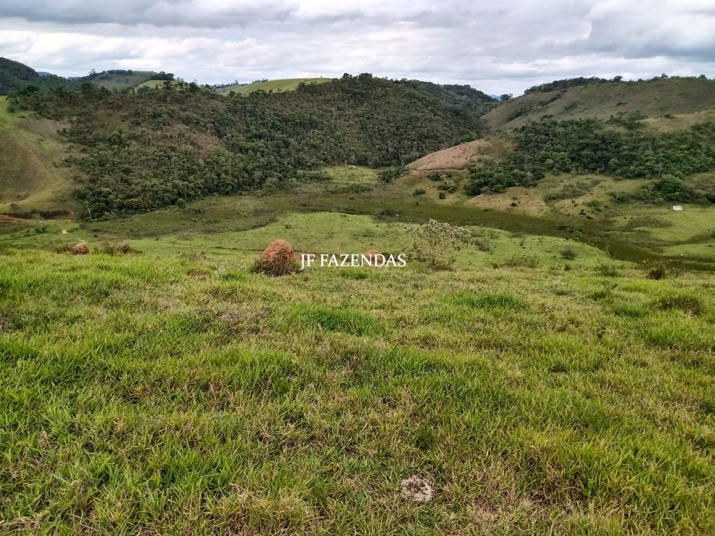 Fazenda em Bicas / MG – 86 hectares Fazenda em Bicas / MG – 86 hectares