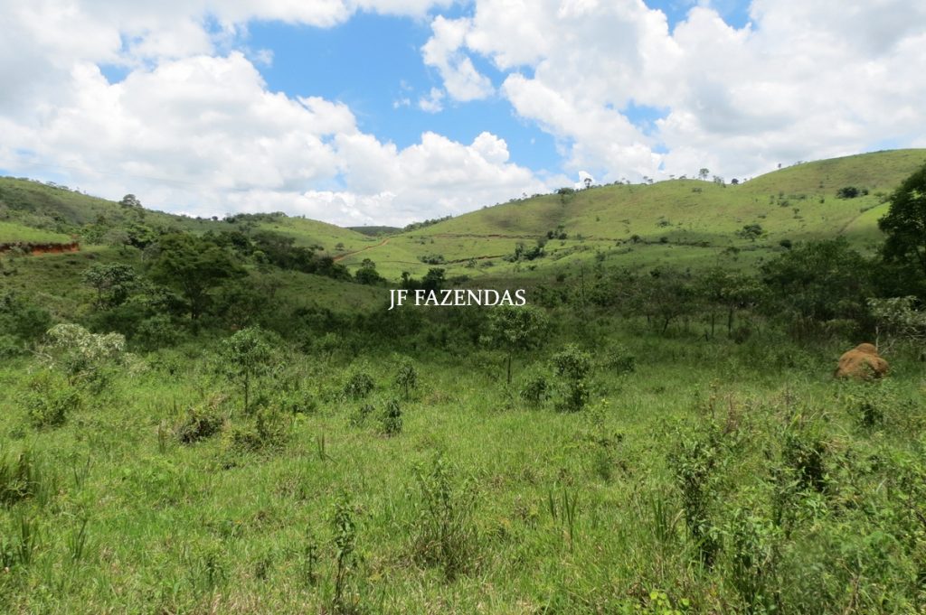 Fazenda em Bicas / MG – 86 hectares Fazenda em Bicas / MG – 86 hectares