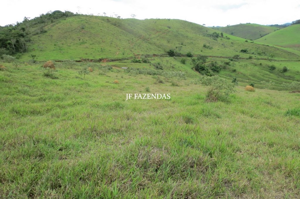 Fazenda em Bicas / MG – 86 hectares Fazenda em Bicas / MG – 86 hectares
