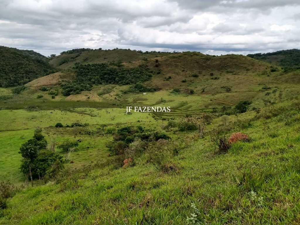 Fazenda em Bicas / MG – 86 hectares Fazenda em Bicas / MG – 86 hectares