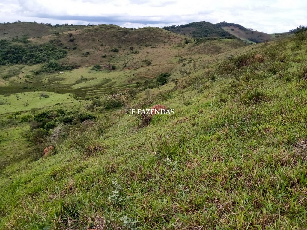 Fazenda em Bicas / MG – 86 hectares Fazenda em Bicas / MG – 86 hectares