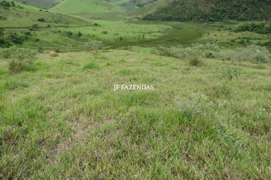 Fazenda em Bicas / MG – 86 hectares Fazenda em Bicas / MG – 86 hectares
