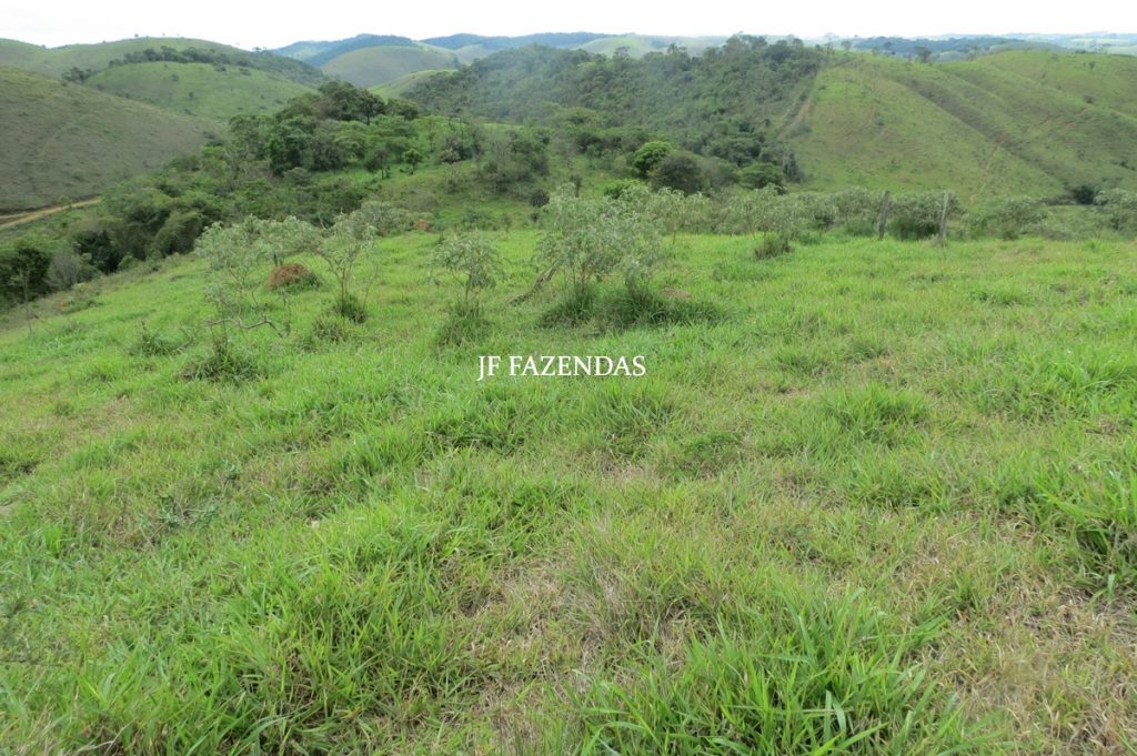 Fazenda em Bicas / MG – 86 hectares Fazenda em Bicas / MG – 86 hectares