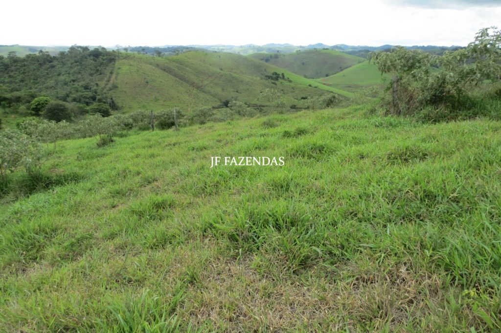 Fazenda em Bicas / MG – 86 hectares Fazenda em Bicas / MG – 86 hectares
