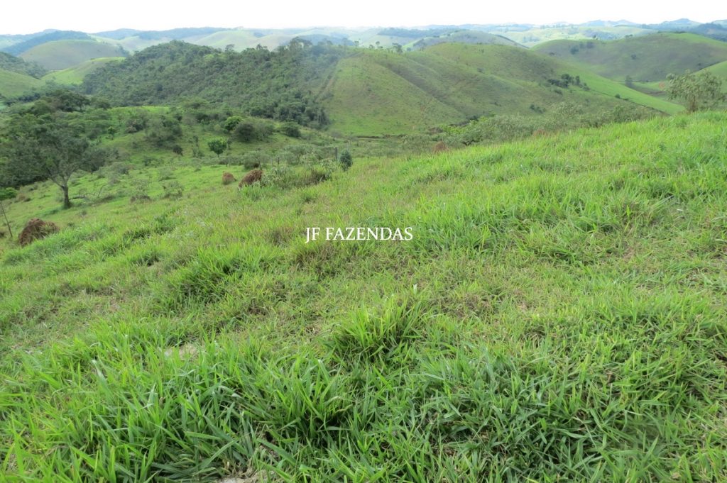 Fazenda em Bicas / MG – 86 hectares Fazenda em Bicas / MG – 86 hectares