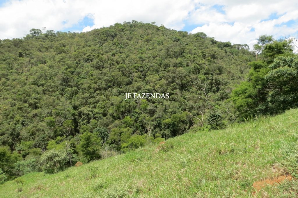 Fazenda em Bicas / MG – 86 hectares Fazenda em Bicas / MG – 86 hectares