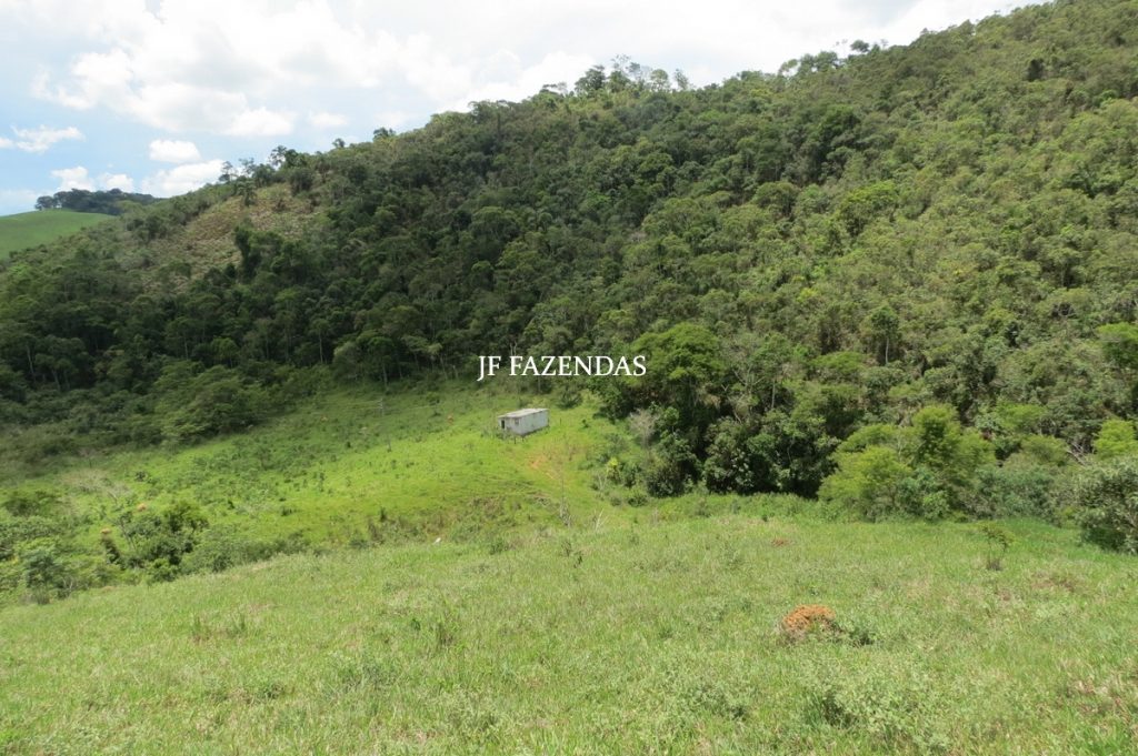 Fazenda em Bicas / MG – 86 hectares Fazenda em Bicas / MG – 86 hectares
