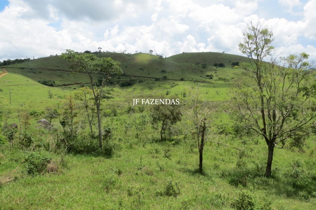 Fazenda em Bicas / MG – 86 hectares Fazenda em Bicas / MG – 86 hectares