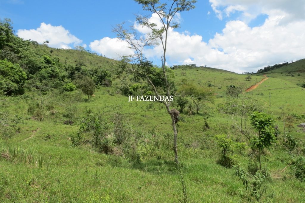 Fazenda em Bicas / MG – 86 hectares Fazenda em Bicas / MG – 86 hectares