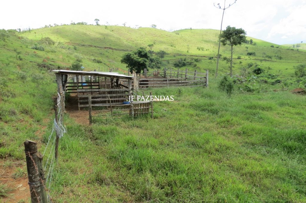 Fazenda em Bicas / MG – 86 hectares Fazenda em Bicas / MG – 86 hectares