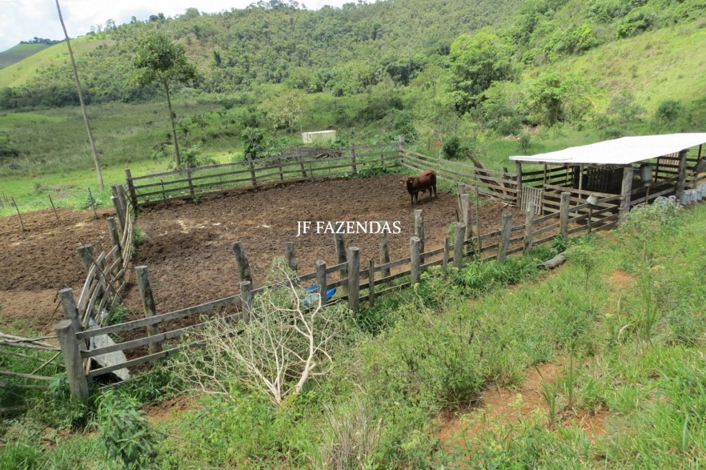 Fazenda em Bicas / MG – 86 hectares Fazenda em Bicas / MG – 86 hectares