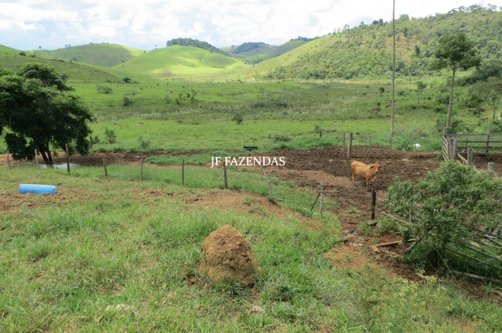 Fazenda em Bicas / MG – 86 hectares Fazenda em Bicas / MG – 86 hectares