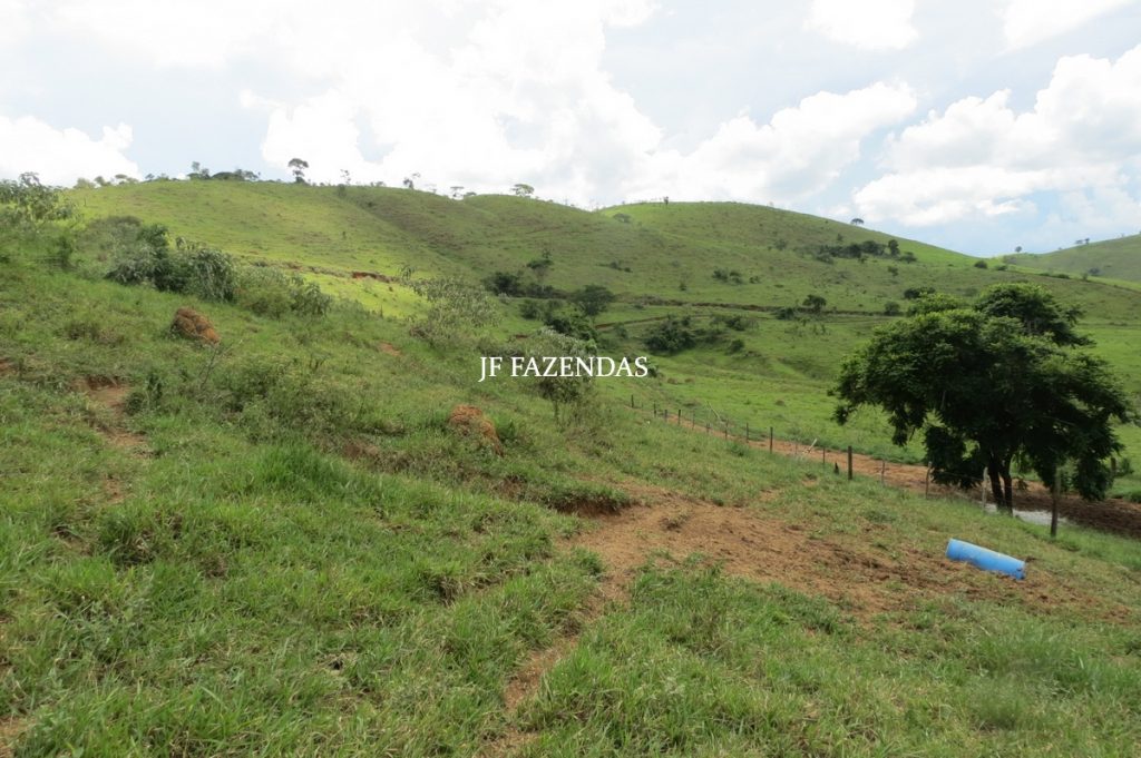 Fazenda em Bicas / MG – 86 hectares Fazenda em Bicas / MG – 86 hectares