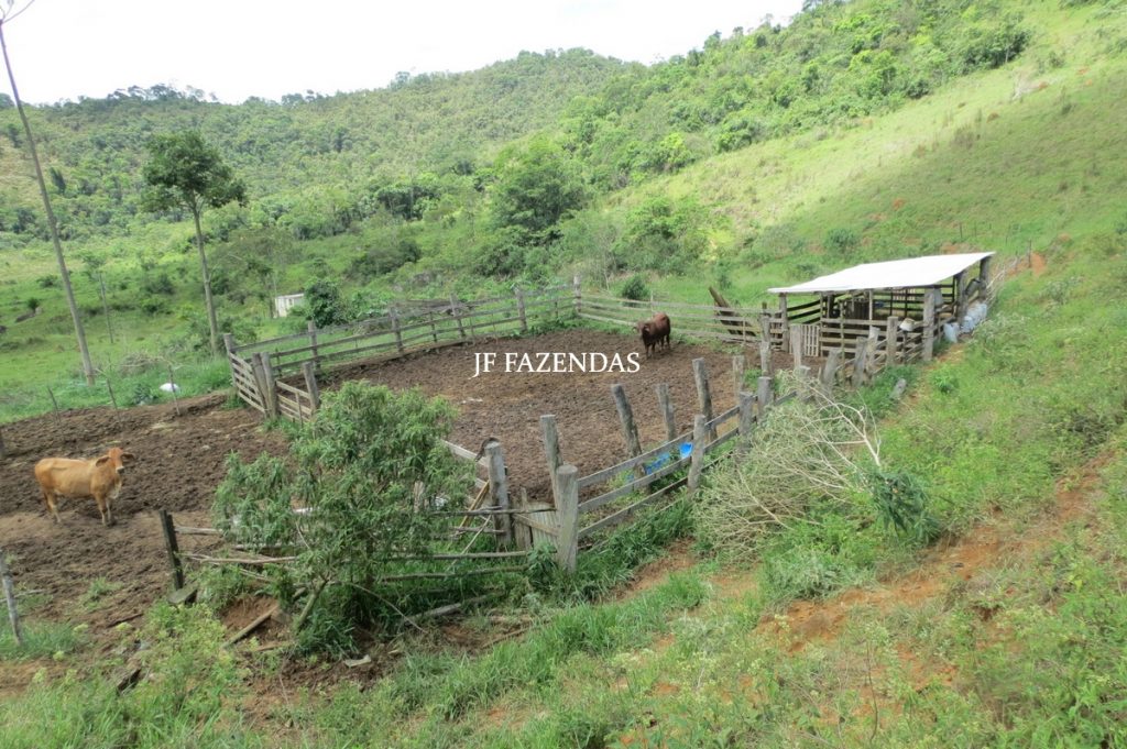 Fazenda em Bicas / MG – 86 hectares Fazenda em Bicas / MG – 86 hectares