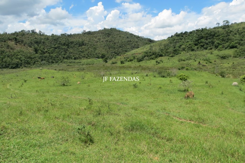 Fazenda em Bicas / MG – 86 hectares Fazenda em Bicas / MG – 86 hectares